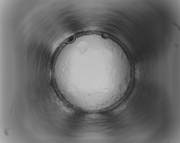 X0000103501117200809262007