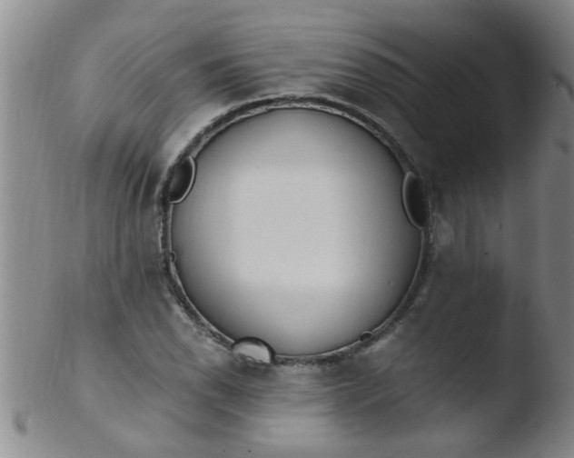 X0000103501118200809262007