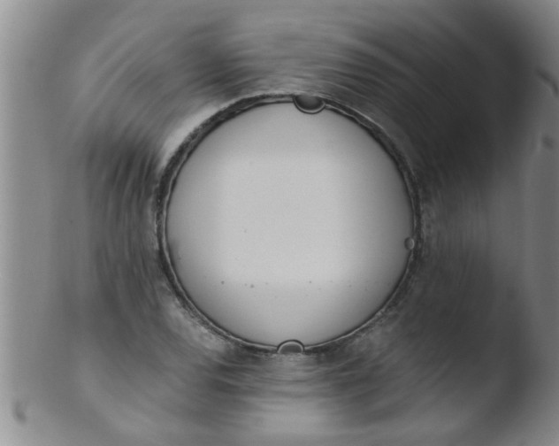 X0000103501120200809262007