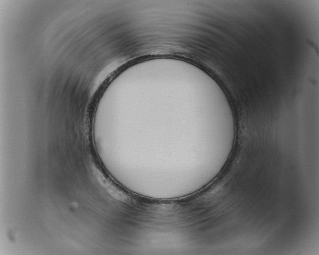 X0000103501122200809262007