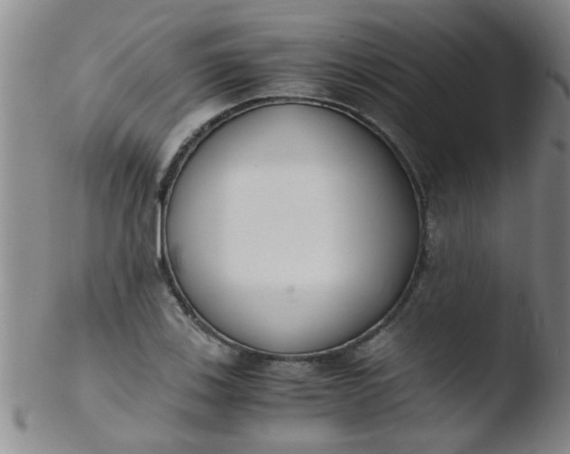 X0000103501123200809262007