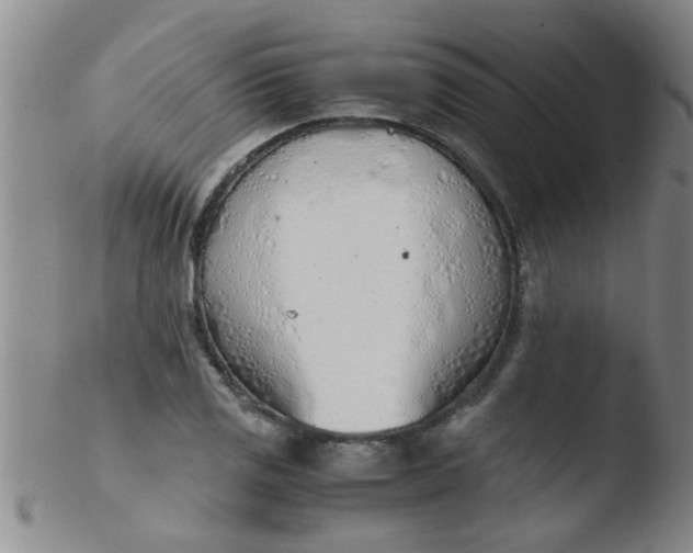 X0000103501125200809262007