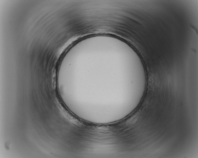 X0000103501126200809262007