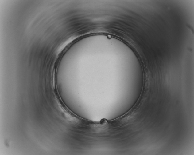 X0000103501127200809262007