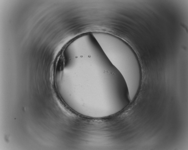 X0000103501128200809262007