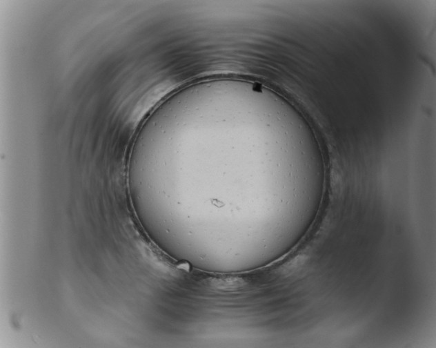 X0000103501129200809262007