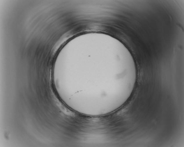 X0000103501130200809262007