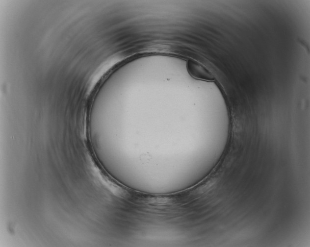 X0000103501131200809262007