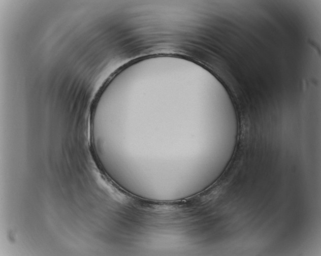 X0000103501132200809262007