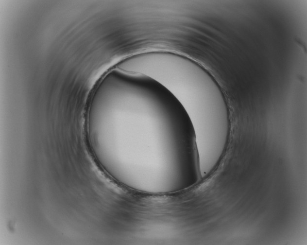 X0000103501134200809262008