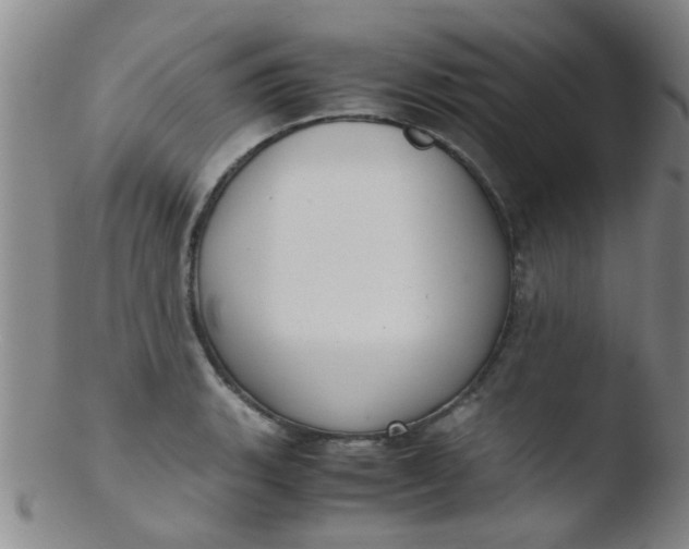 X0000103501135200809262008