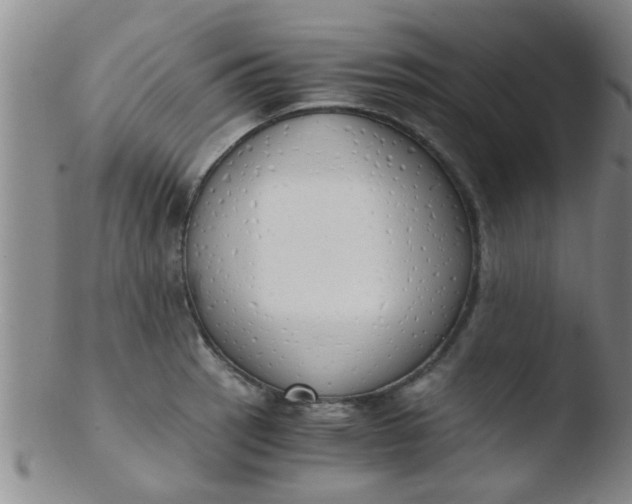 X0000103501137200809262008