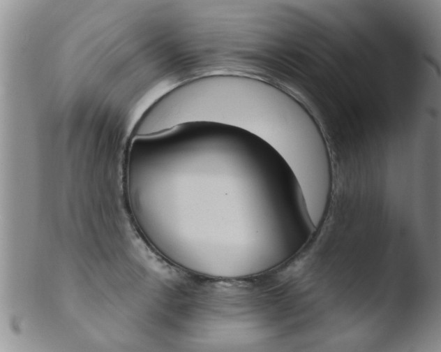 X0000103501138200809262008