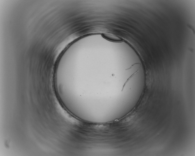 X0000103501139200809262008