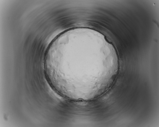 X0000103501141200809262008