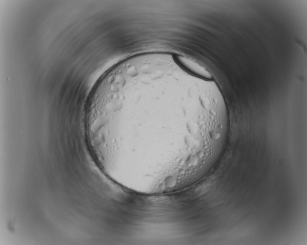 X0000103501142200809262008