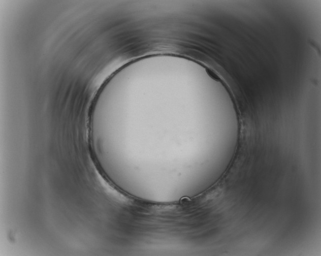 X0000103501143200809262008