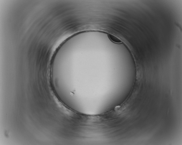 X0000103501144200809262008