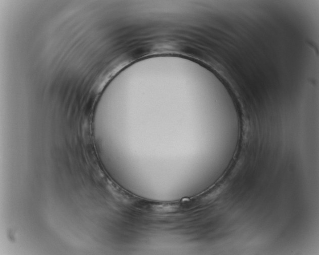 X0000103501145200809262008