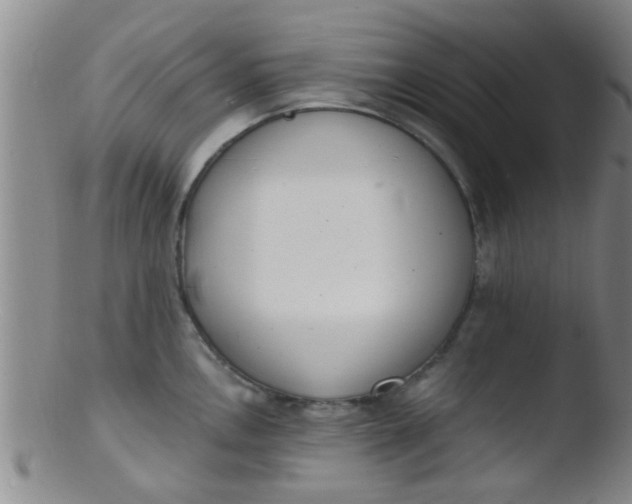 X0000103501146200809262008