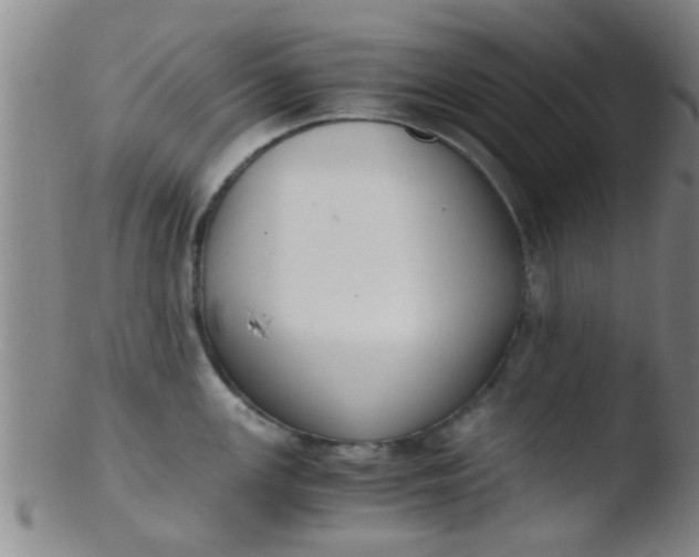 X0000103501147200809262008