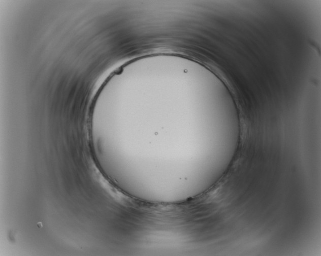 X0000103501148200809262008