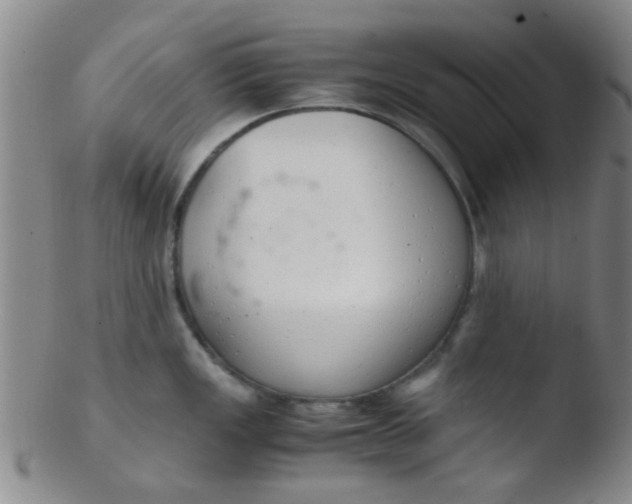 X0000103501149200809262008