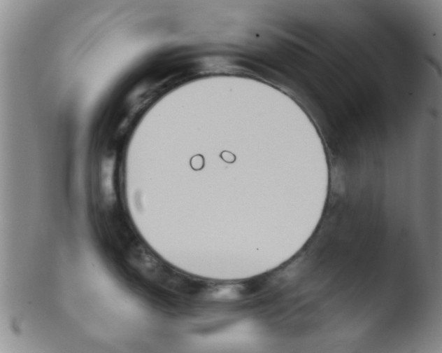 X0000103501150200809262008