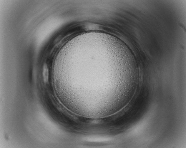 X0000103501151200809262008