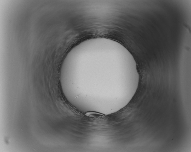 X0000103501153200809262007