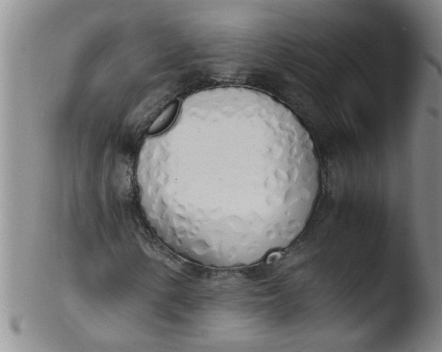 X0000103501154200809262007