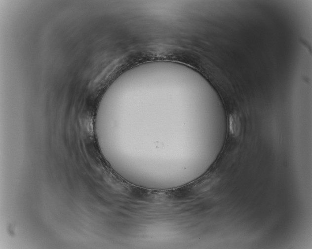 X0000103501155200809262007