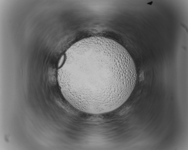 X0000103501156200809262007