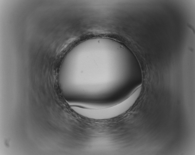 X0000103501157200809262007