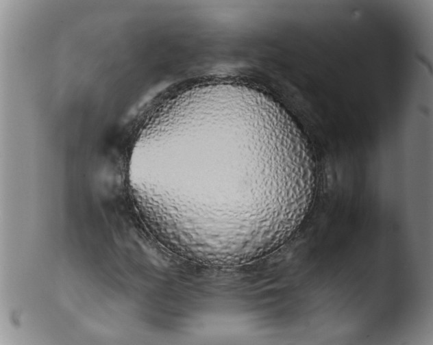 X0000103501158200809262007