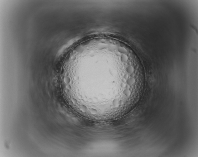 X0000103501159200809262007