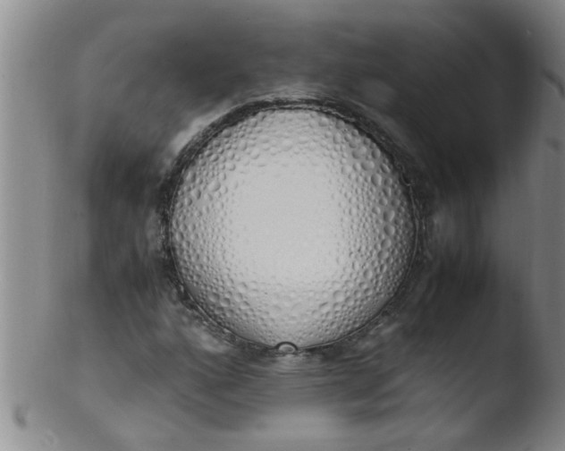 X0000103501160200809262007