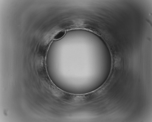 X0000103501161200809262007