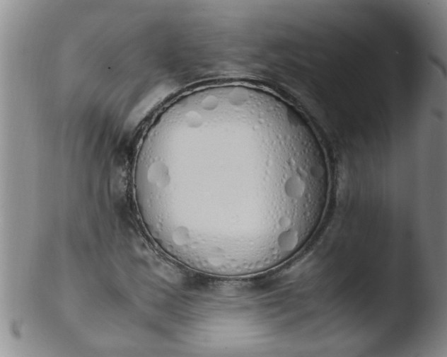 X0000103501163200809262007