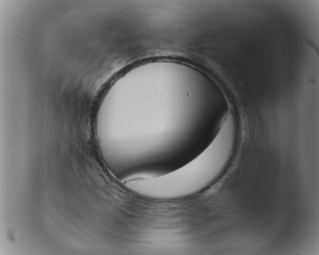 X0000103501165200809262007