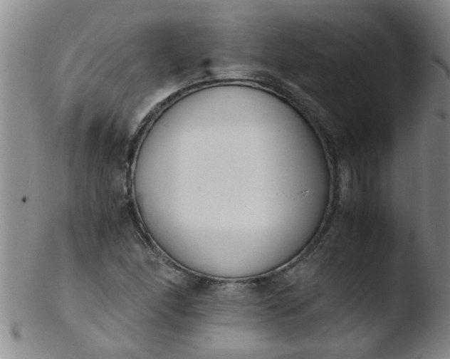 X0000103501166200809262007