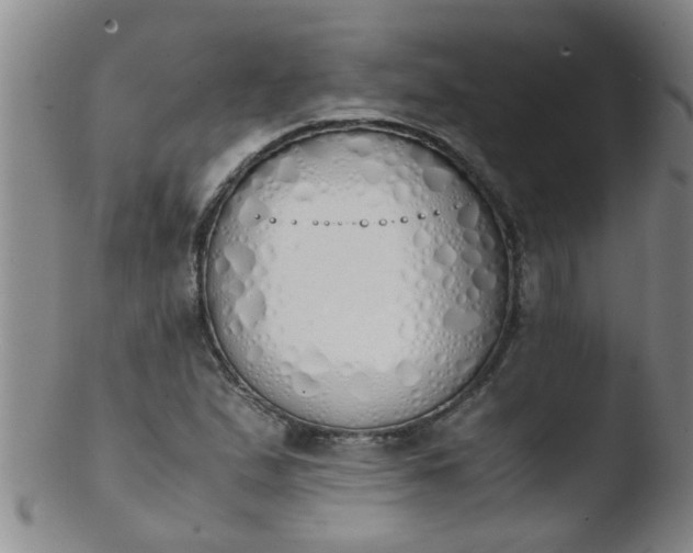 X0000103501167200809262007