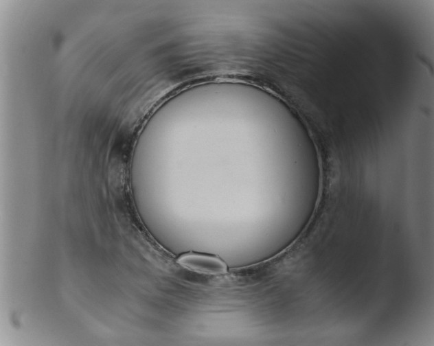 X0000103501169200809262007