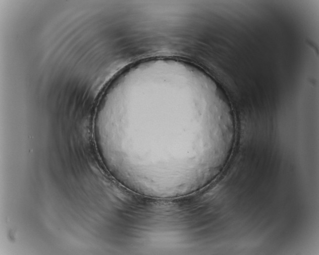 X0000103501170200809262007