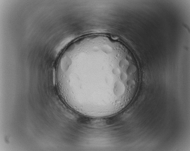 X0000103501171200809262007