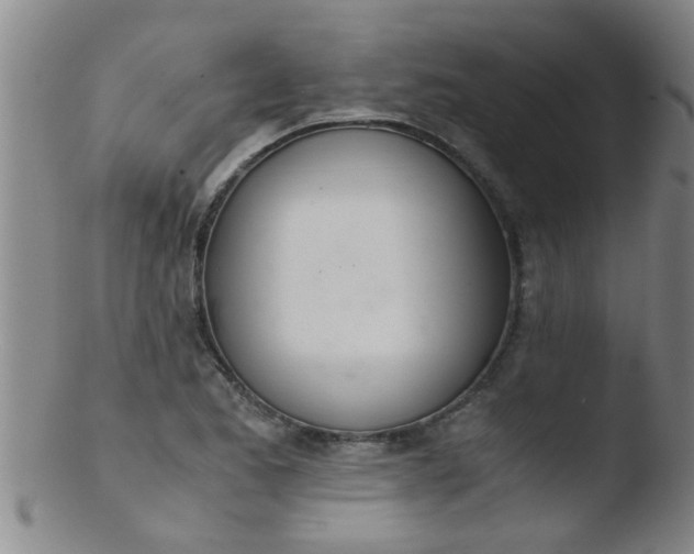 X0000103501173200809262007