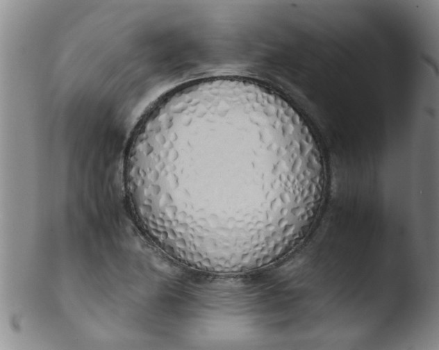 X0000103501174200809262007