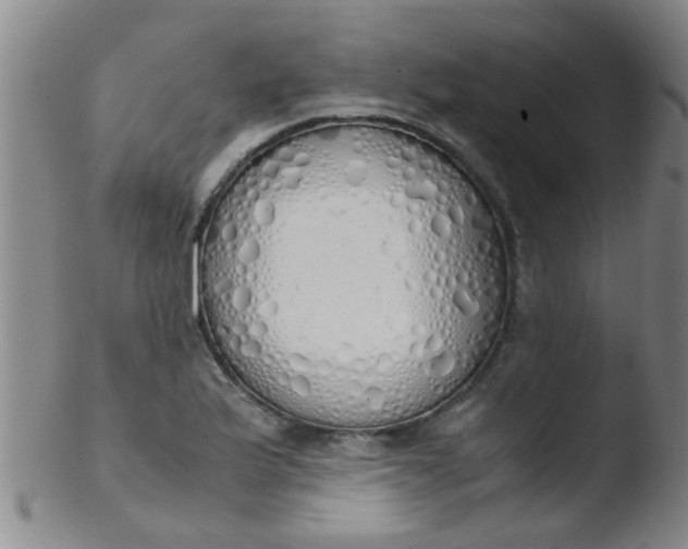 X0000103501175200809262007