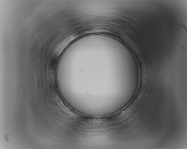 X0000103501177200809262007