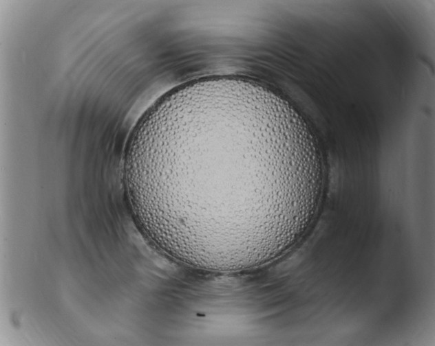 X0000103501178200809262007